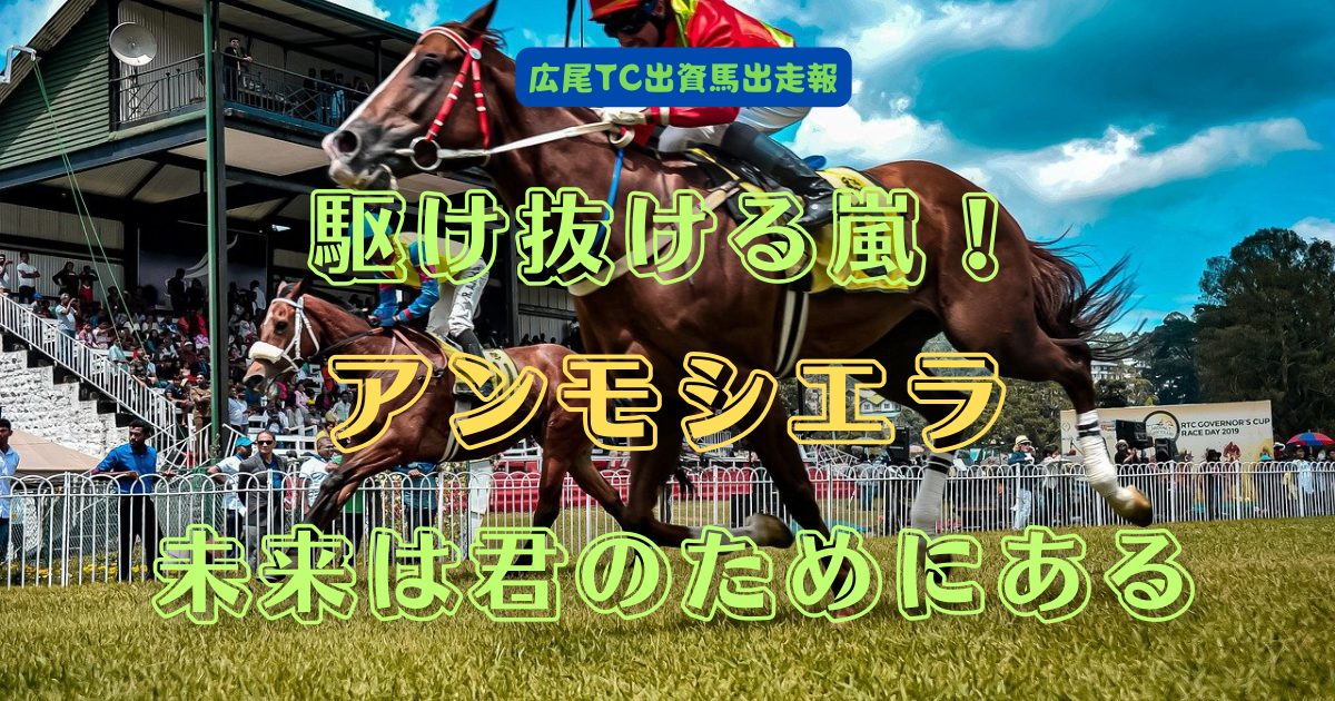 駆け抜ける嵐！　アンモシエラ　未来は君のためにある